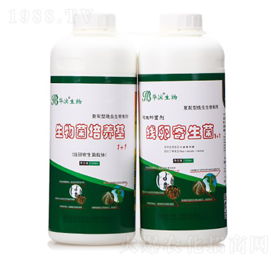 ��������B(y��ng)��+���Ѽ�����-�A�I����