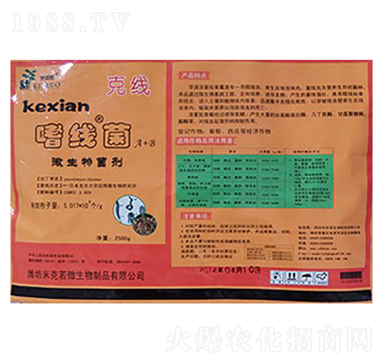 �Ⱦ���-�A�I����