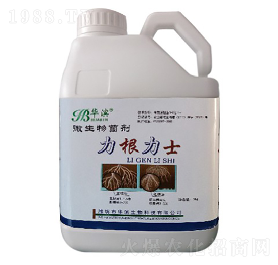 ΢�������-������ʿ-�A�I����