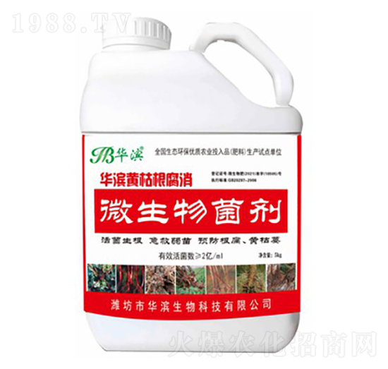 �A�I�S�ݸ�����-�A�I����