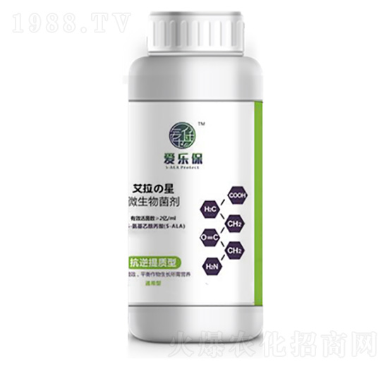 �������|��΢�������-�ۘ���-�����