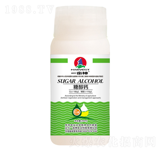 200ml�Ǵ��}-һ����