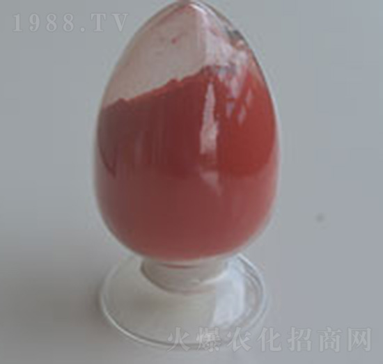 98%��(f��)�����c-�����r(n��ng)�I(y��)