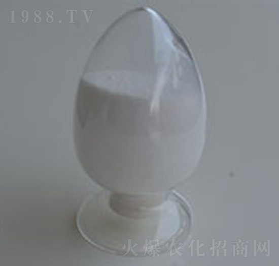 98%Ó����-�����r�I(y��)