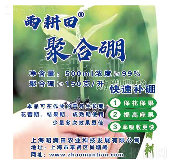 �ۺ���-�����-�ѝM��