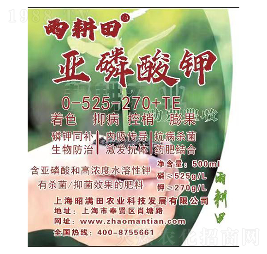 �������0-525-270+TE-�ѝM��