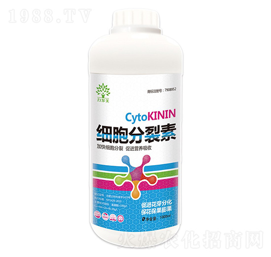 ����������-������-�r(n��ng)ʥ��