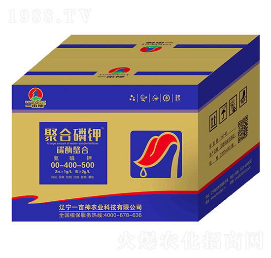 �ۺ����00-400-500-һ����