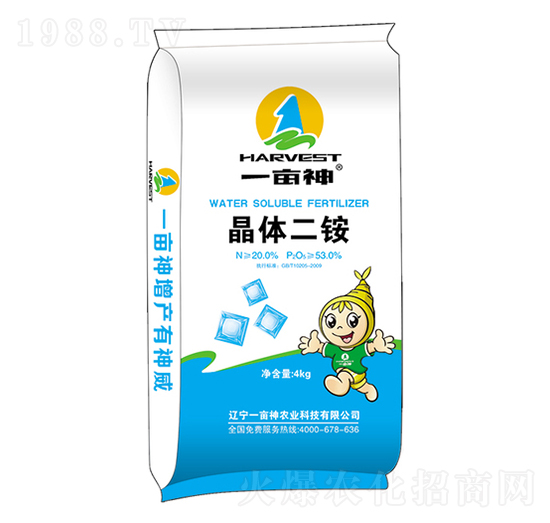 ���w���@-һ����