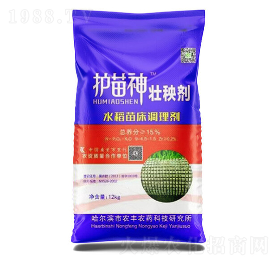 �o������턩-�Pʩ������