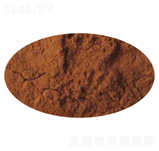 �����S�����-�����S