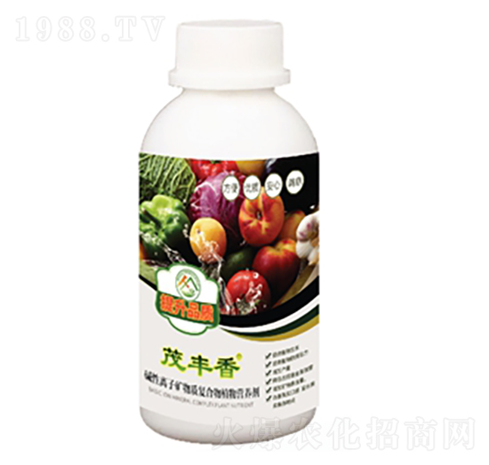 �A���x�ӵV���|(zh��)��(f��)����ֲ��I�B(y��ng)��-ï�S��