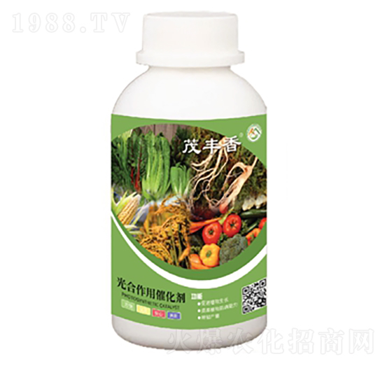 ������ô߻���-ï�S��