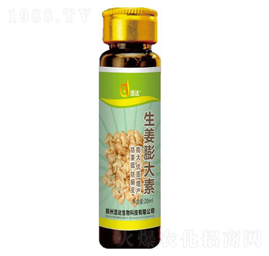 ���������-���_(d��)����