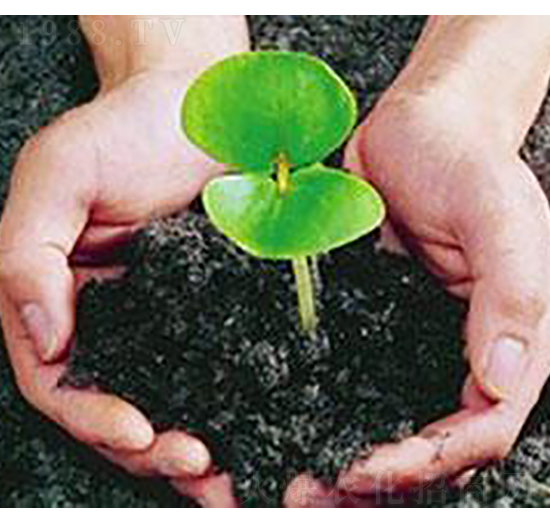 �Ϲ��ЙC(j��)��-�ɺ�