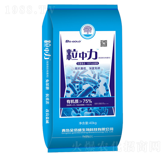 ����΢�������-������-���ʢ����