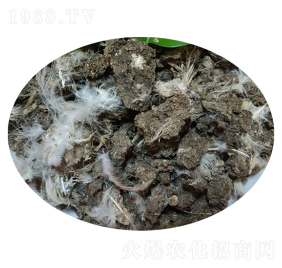 ����u�S-�����