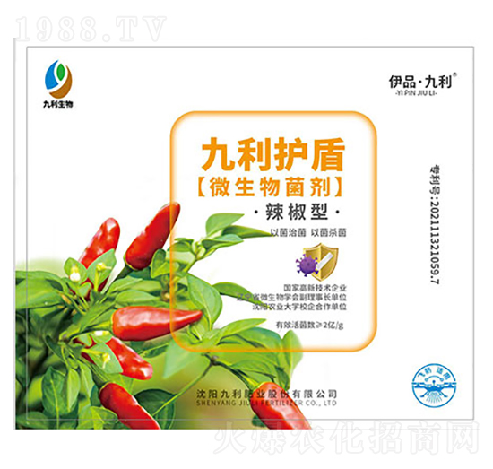 ΢�������-������-����