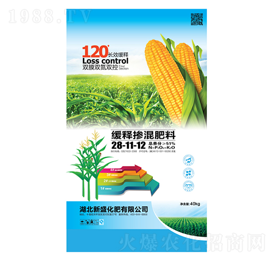 ��ጓ������28-11-12-��ʢ����