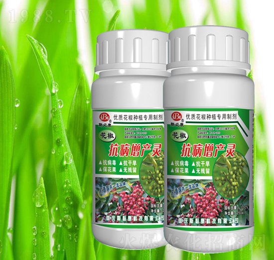 �����������a(ch��n)�`-˹�ؿ�