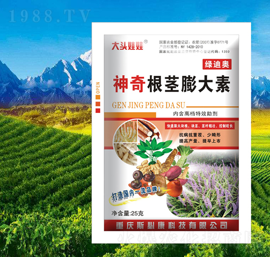 ������o�����-�G�ϊW-˹�ؿ�