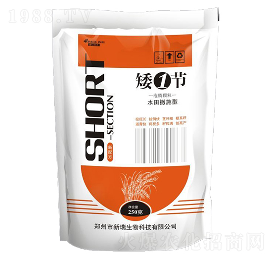 ��1��(ji��)-����