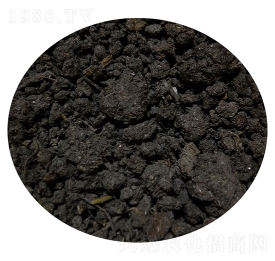 ���ţ�S-�T������