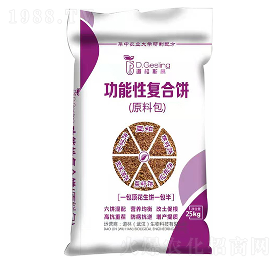 �����ԏͺ��-����