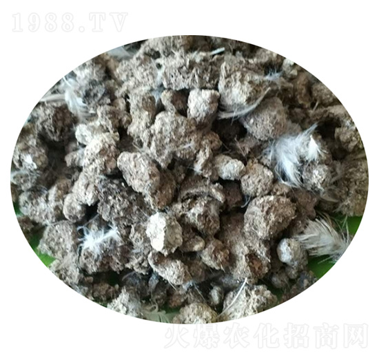 С�u�S-ʥ������