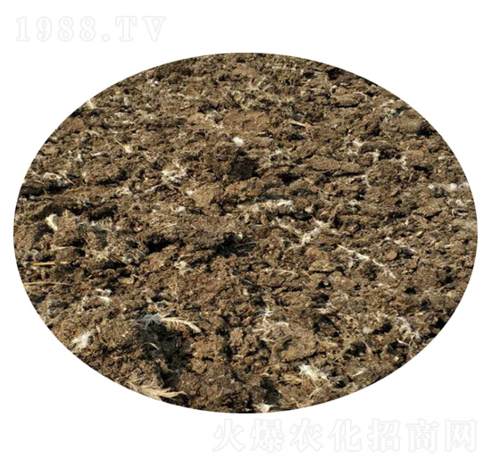 ���u�S-ʥ������