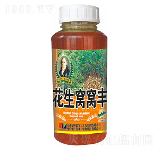 �����C�C�S-�»�