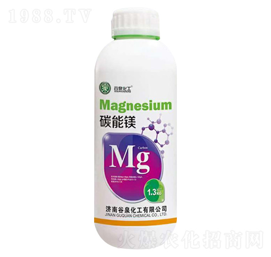 ̼���V-��Ȫ����