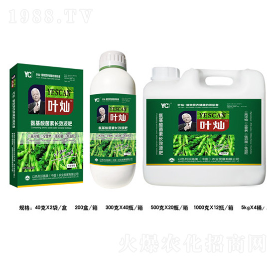 �󶹰���������LЧҺ��-�~�N-�»�