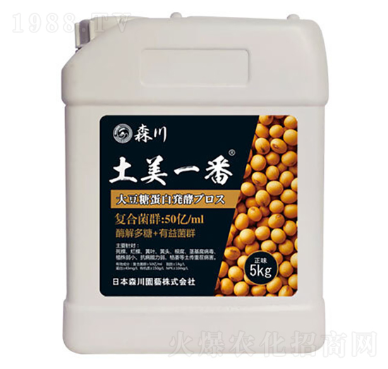 ����һ�������;���-ɭ��-����