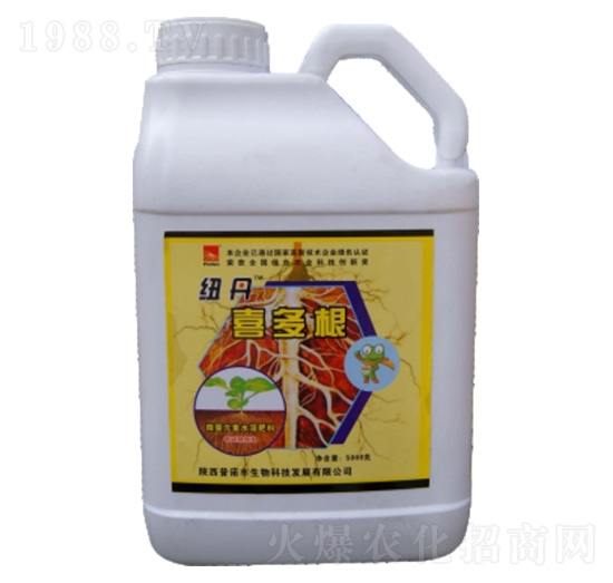 �~��ϲ���-���Z�S