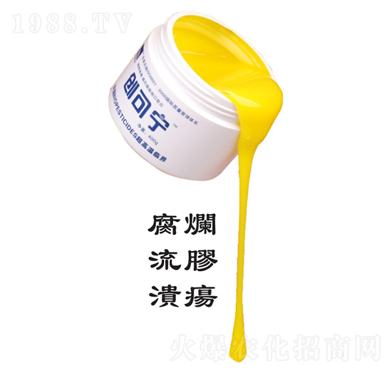 ��(chu��ng)�Ɍ�-���Z�S