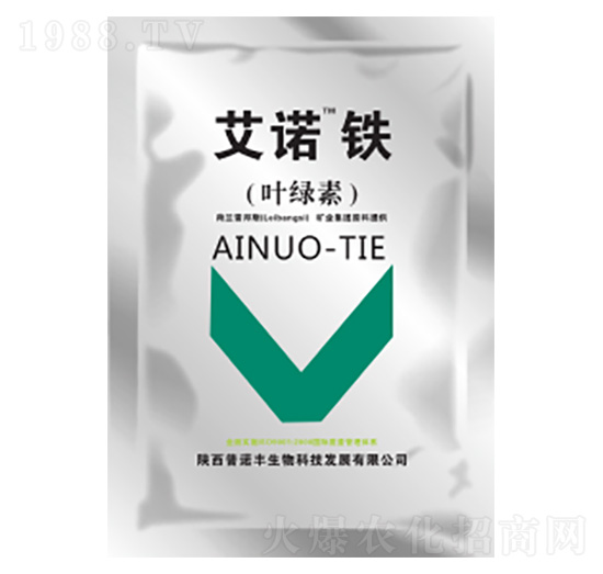 ���Z�F-���Z�S