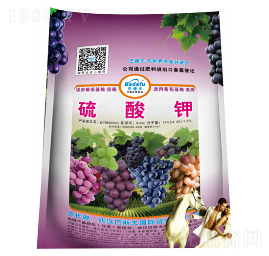 ���ь��������-��˹��