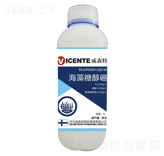 �����Ǵ���-���ֺ�