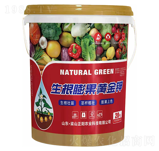 ��������S���-���