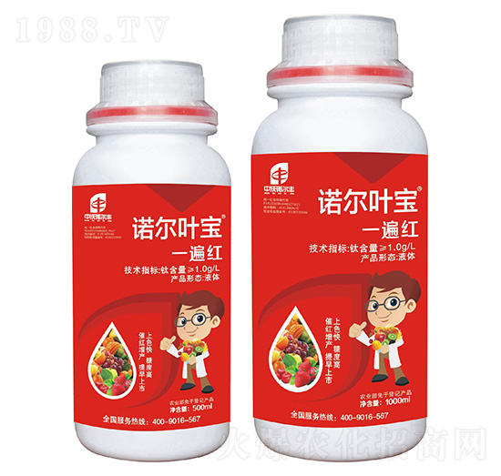 �Z���~��һ��t-�Z���S