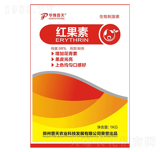 �t����-�����r(n��ng)�I(y��)