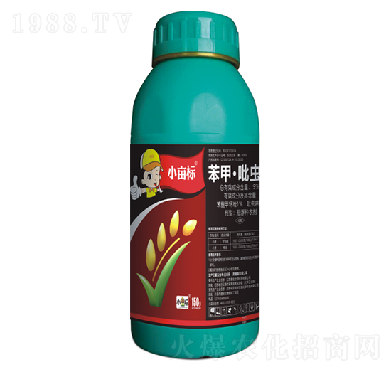 9%���ס����x��-С����