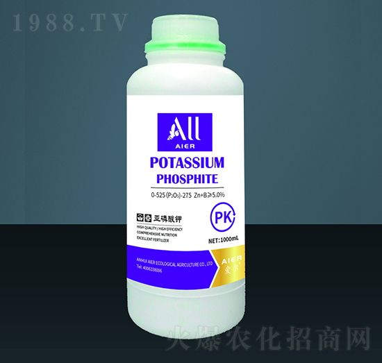 �������-��(��i)�����B(t��i)