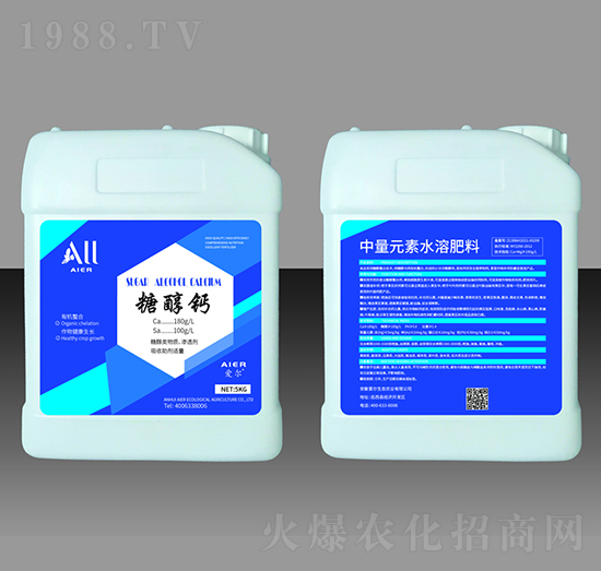 �Ǵ��}-�۠����B(t��i)