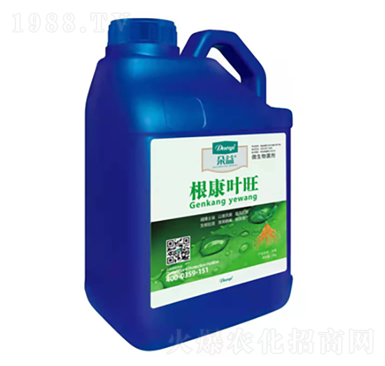 �����~��-�����r(n��ng)�I(y��)