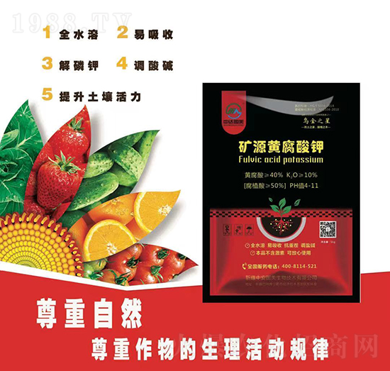 �VԴ�S�����-�а���(gu��)��