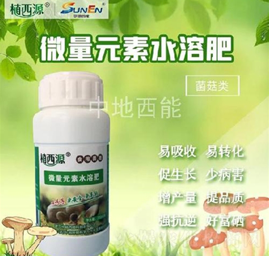 ʳ�þ����΢��Ԫ��ˮ�ܷ�-�е�����