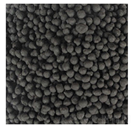 ��ֲ���ЙC��-��W�Ƽ�