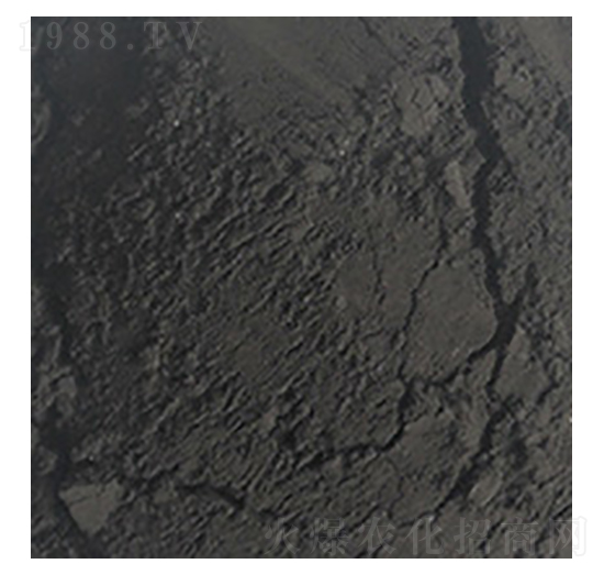 ��ֲ��ԭ��-��?yu��n)W�Ƽ�